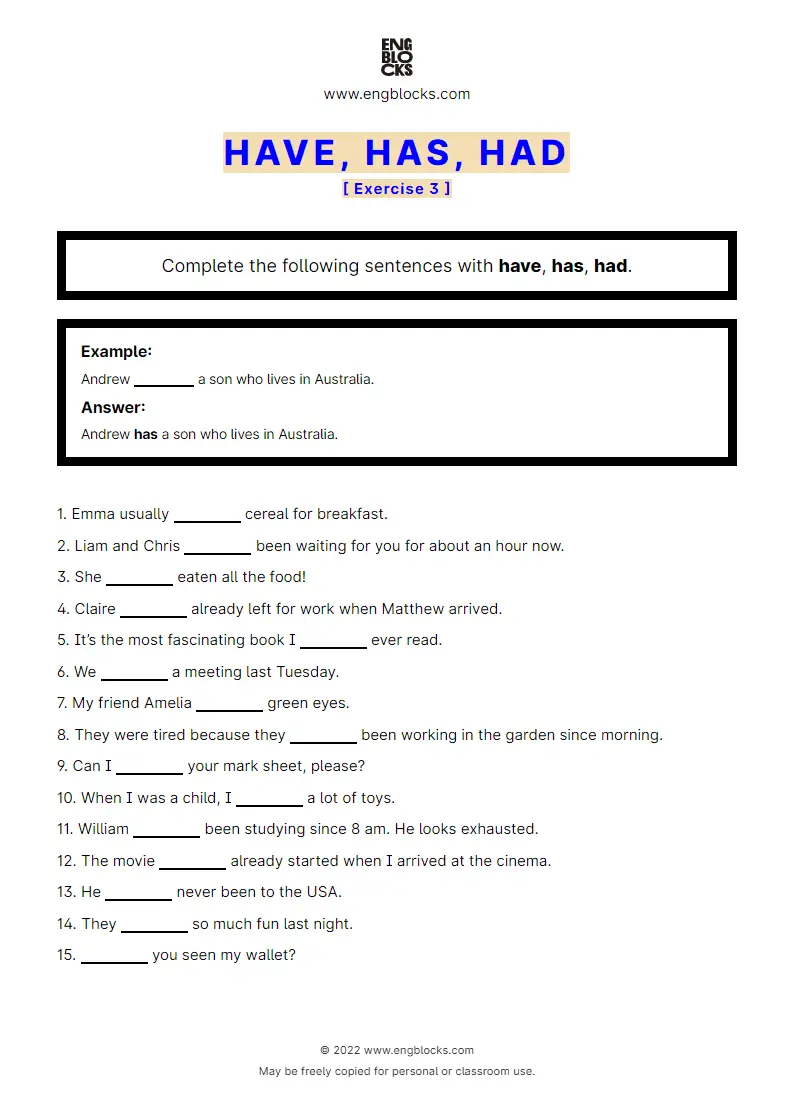 Grammar Worksheet: have, has, had — Exercise 3