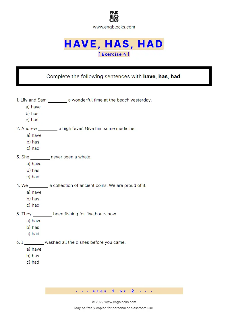 Grammar Worksheet: have, has, had — Exercise 4