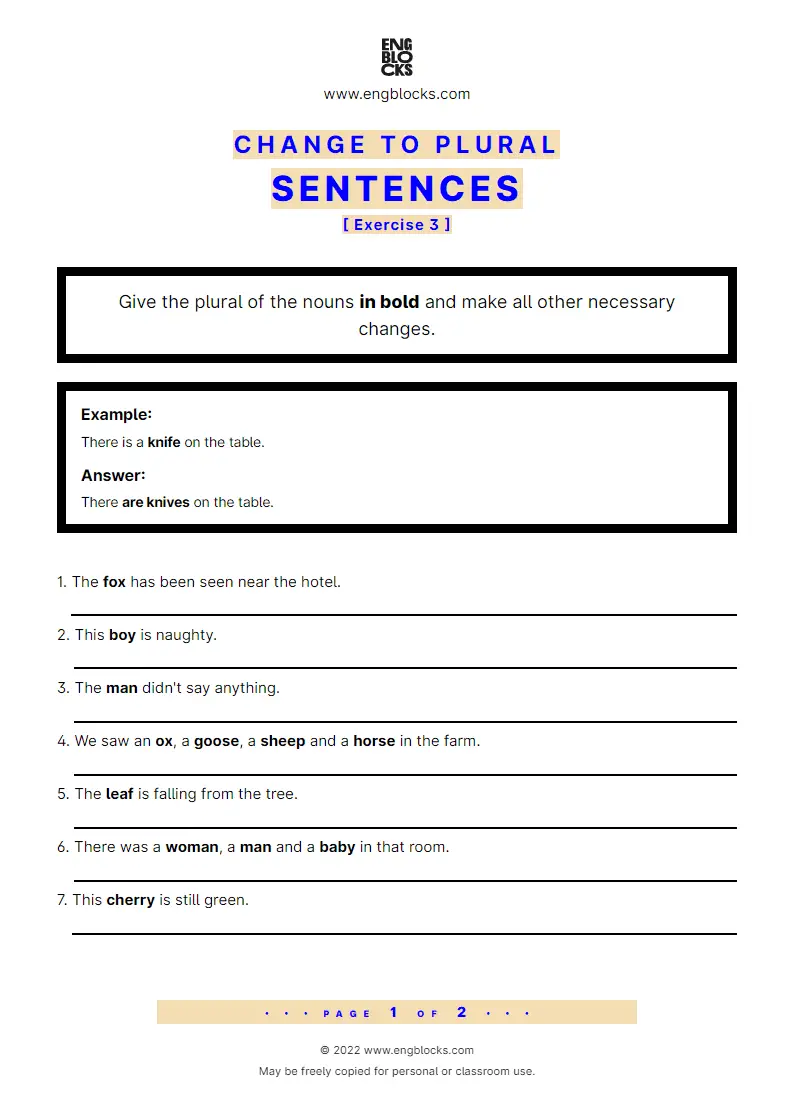 Grammar Worksheet: Change to plural — Sentences — Exercise 3