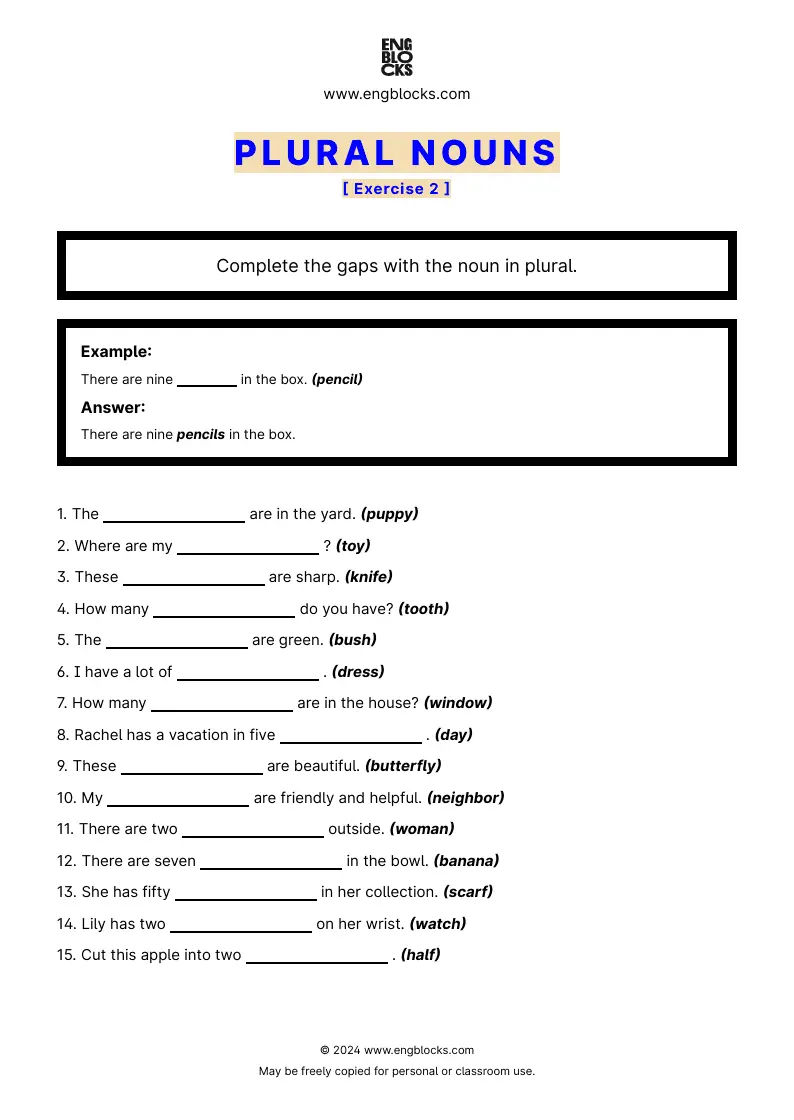 Grammar Worksheet: Plural nouns — Exercise 2