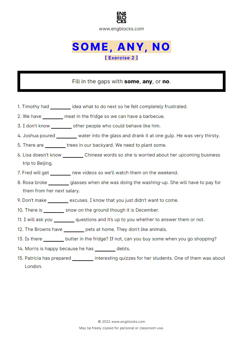 Grammar Worksheet: some, any, no — Exercise 2