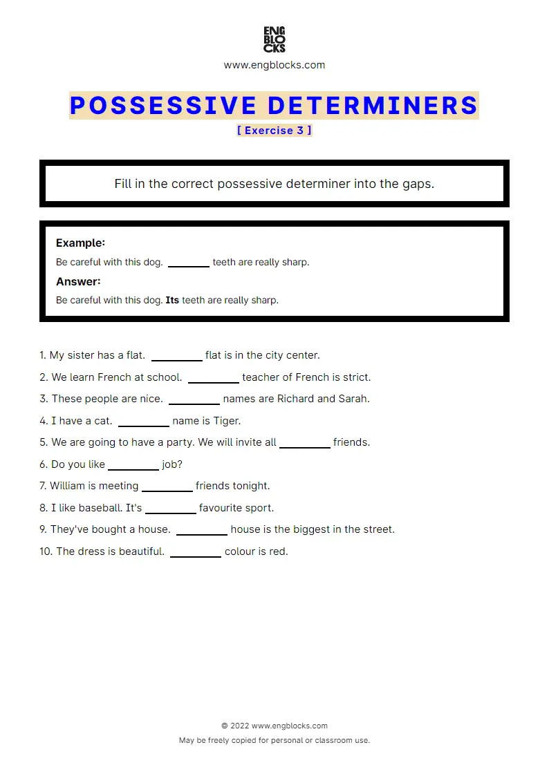 Grammar Worksheet: Possessive determiners — Exercise 3