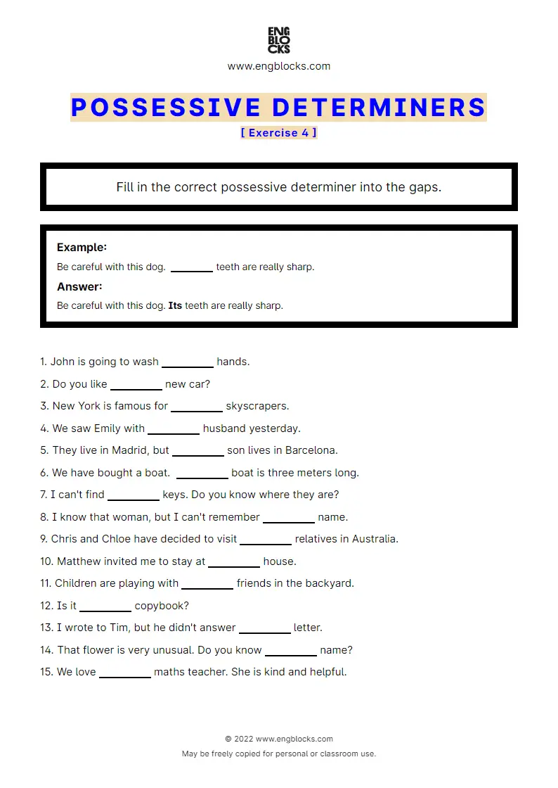 Possessive Determiners And Pronouns Worksheet