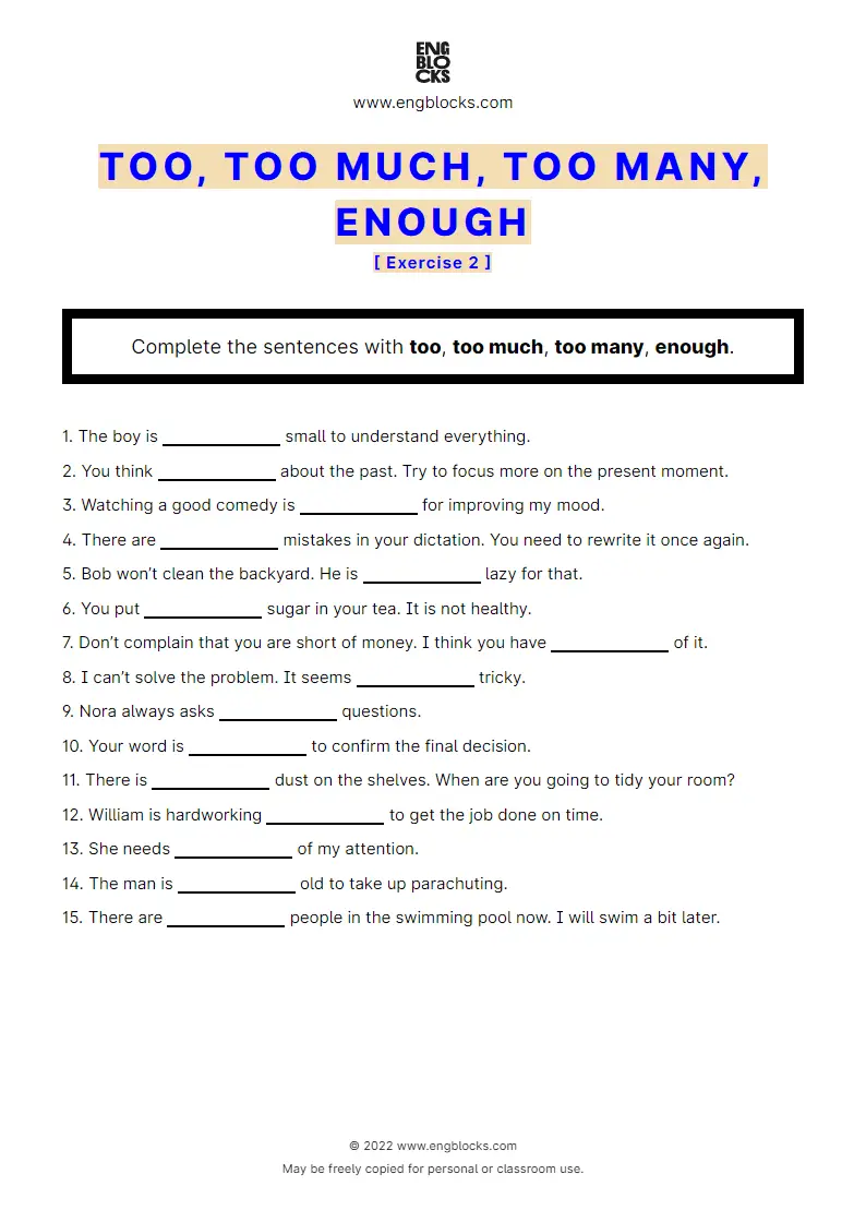 Grammar Worksheet: too, too much, too many, enough — Exercise 2