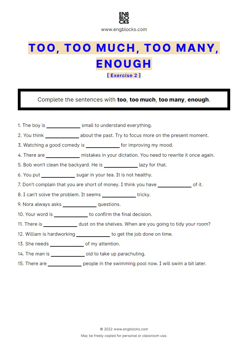 Grammar Worksheet: too, too much, too many, enough — Exercise 2